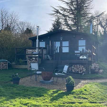 Cosy Cabin In Annie'S Meadow West Meon Eksteriør bilde