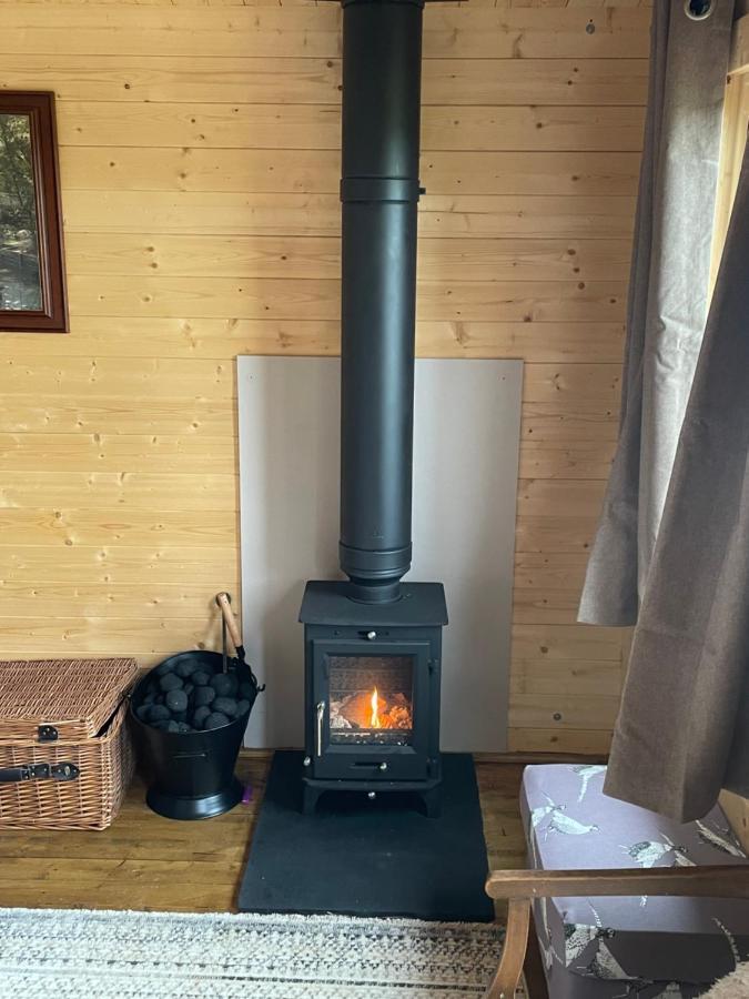 Cosy Cabin In Annie'S Meadow West Meon Eksteriør bilde